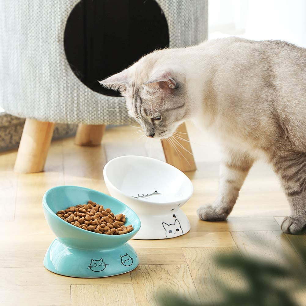 Ceramic Raised Slanted Cat Bowl