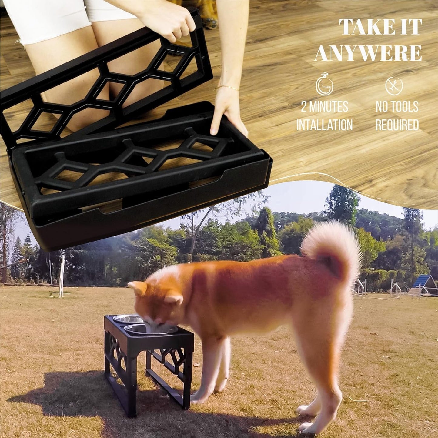 Elevated Dog Bowls