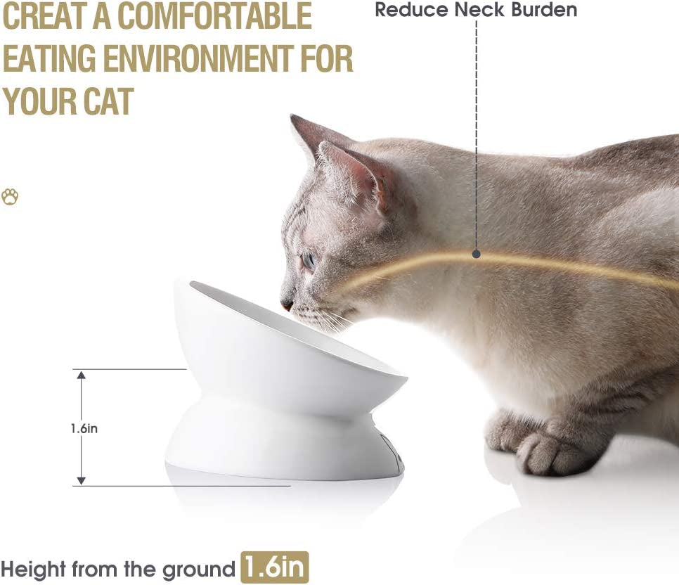 Ceramic Raised Slanted Cat Bowl