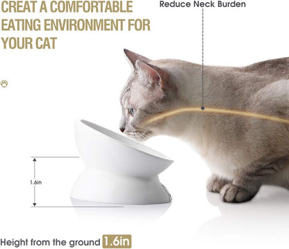 Ceramic Raised Slanted Cat Bowl
