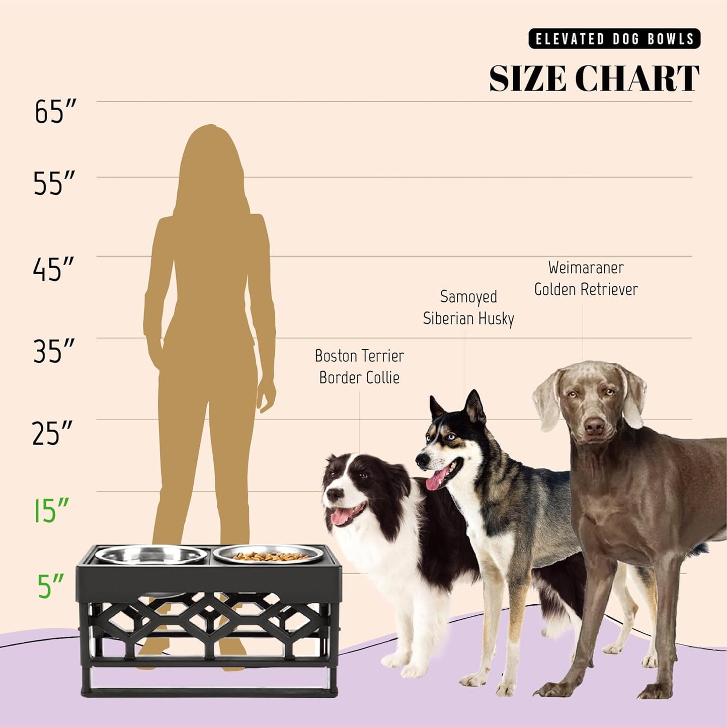 Elevated Dog Bowls