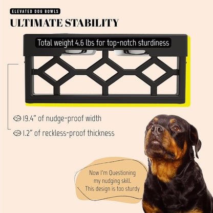 Elevated Dog Bowls