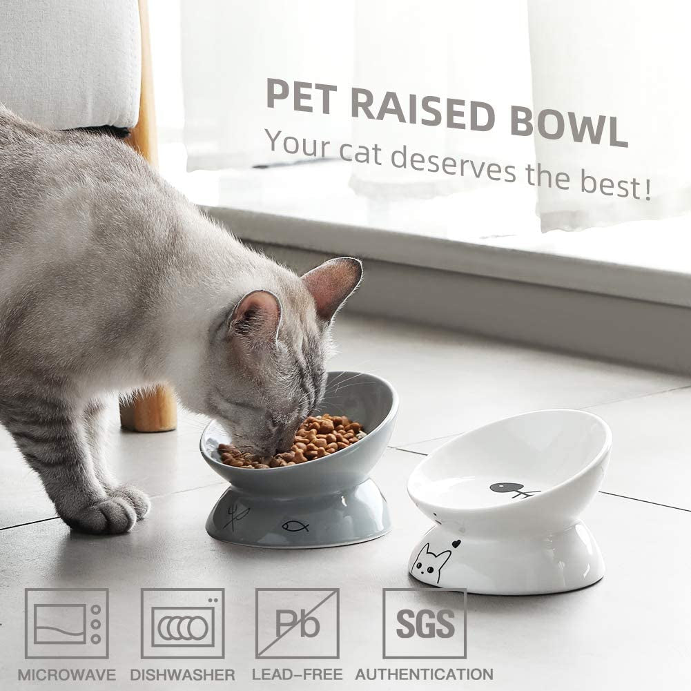 Ceramic Raised Slanted Cat Bowl