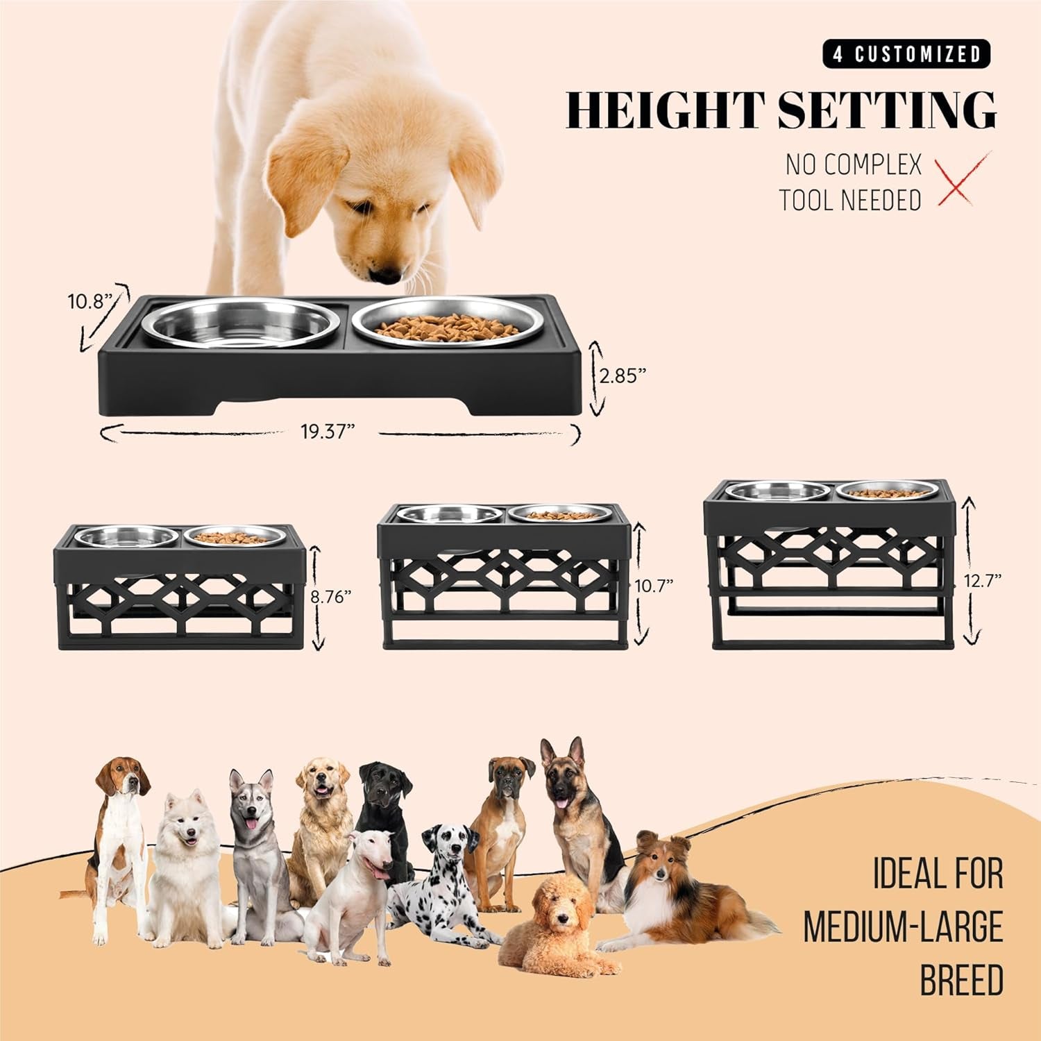 Elevated Dog Bowls